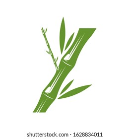  Green bamboo trees vector design. Bamboo stem logotype