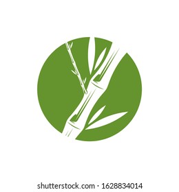  Green bamboo trees vector design. Bamboo stem logotype