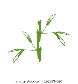  Green bamboo trees vector design. Bamboo stem logotype