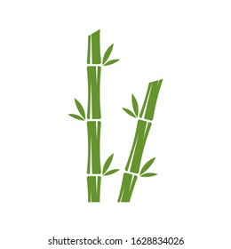  Green bamboo trees vector design. Bamboo stem logotype