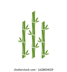 Green bamboo trees vector design. Bamboo stem logotype
