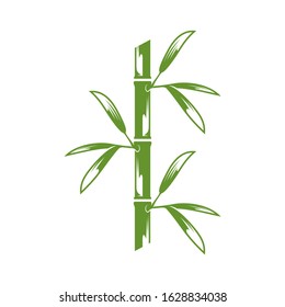  Green bamboo trees vector design. Bamboo stem logotype