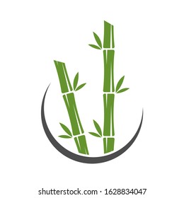  Green bamboo trees vector design. Bamboo stem logotype