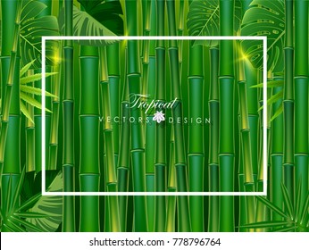 Green bamboo tropical panorama backgrounds vectors  illustration.