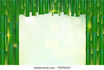 Green bamboo tropical panorama backgrounds vectors  illustration.