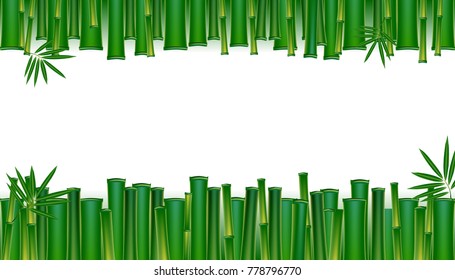 Green bamboo tropical panorama backgrounds vectors  illustration.