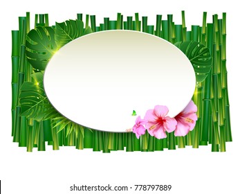 Green bamboo tropical panorama backgrounds vectors  illustration.