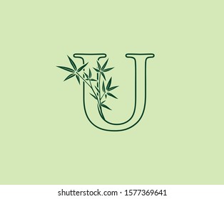 Green Bamboo U Letter Logo Icon.