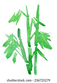 green bamboo. vector.