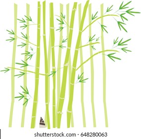 Green bamboo vector