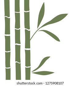 green bamboo, vector background