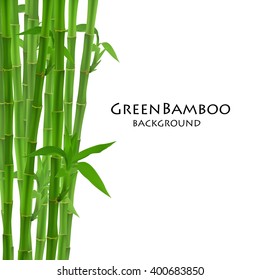 竹やぶ のイラスト素材 画像 ベクター画像 Shutterstock