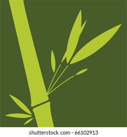 Green bamboo. Vector illustration.