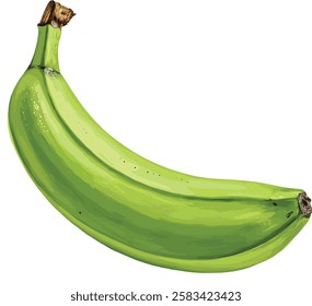 Green Banana can be used for invitation cards, stickers, wall art, t-shirt designs, and more, adding a fun and tropical touch to any creation.