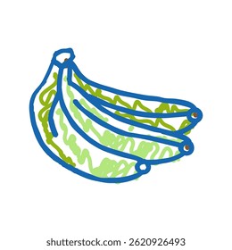 green banana doodle icon sketch vector. green banana sign. isolated symbol illustration
