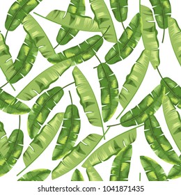 Green banana herb on white background. Seamless pattern. Vector.