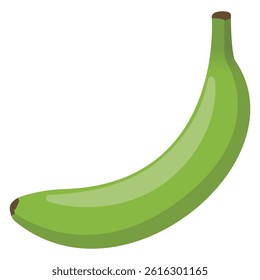 Green banana illustration, simple vector illustration