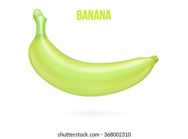 Green Banana illustration vector