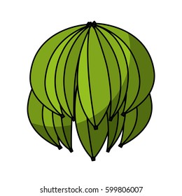 green banana isolated icon vector illustration design