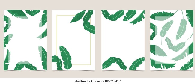 green banana leaf  background for postcard