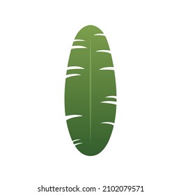 Green Banana leaf element, Vector, Illustration.