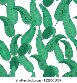 green banana leaf pattern on white background in vector