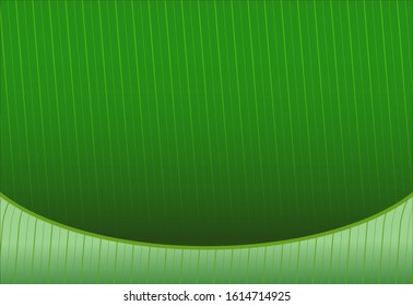 Green Banana Leaf Texture Background For Template Vector 
