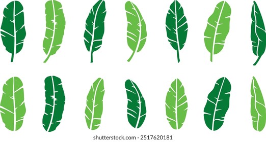 grüne Banane Blatt Vektor Set tropische Blätter Sommer Pflanze Bio Natur Illustration Kunst Grafik Design Insel Paradies Strand Urlaub Sommer Saison Urlaub Dschungel natürliche Baum vegane Umrisse