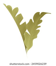 Green banana leaves in flat design. Summer tropical palm foliage twigs. Vector illustration isolated.
