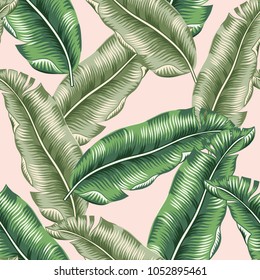 Green banana palm leaves on the blush pink background. Vector floral seamless pattern. Tropical jungle foliage illustration. Exotic plants. Summer beach design. Paradise nature.