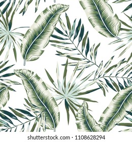 Green banana, palm leaves with white background. Vector seamless pattern. Tropical jungle foliage illustration. Exotic plants greenery. Summer beach floral design. Paradise nature.