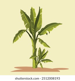 
Green Banana trees with vector Background.