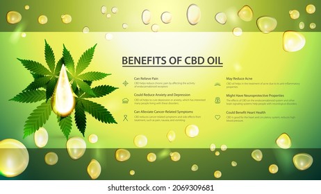 Green banner with drop of cbd oil and green leafs of cannabis on background of oil drops. Medical benefits of use CBD oil.