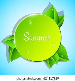Green banner on a blue background. Beautiful fresh leaves with dew. White chamomile. water drops. Realistic vector illustration. EPS 10
