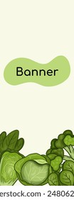 Green banner vector with different types cabbage. Background vertical for harvest, organics, vegetable garden, health, herbs, healthy. Design frame for decoration website, postcard, cover, poster