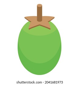 Green baobab fruit icon isometric vector. African tree. Savanna trunk