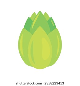 green barley illustration vector isolated