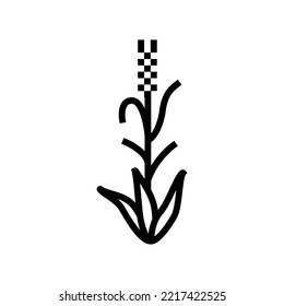 green barley plant line icon vector. green barley plant sign. isolated contour symbol black illustration