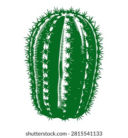 Green barrel cactus desert succulent plant vector illustration isolated on white