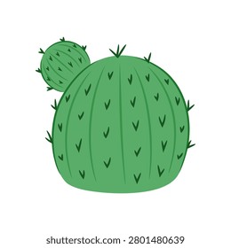 Green barrel cactus with small round side growth. Ribbed echinocactus stem with sharp dark needles. Flat style desert flora element isolated on white background.