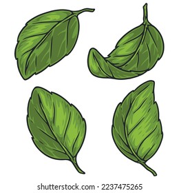 Green basil colorful emblems set fresh spice leaves for adding to vegetarian salads and cooking diet food vector illustration