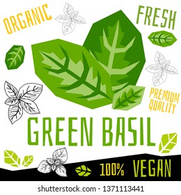 Green basil icon label fresh organic vegetable, vegetables nuts herbs spice condiment color graphic design vegan food. Hand drawn vector illustrations.