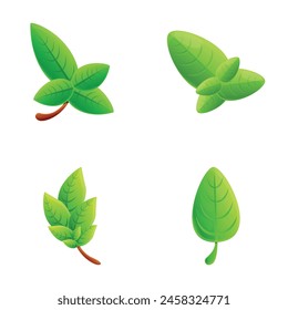 Green basil icons set cartoon vector. Basil stem with green leaf. Healthy herbal plant