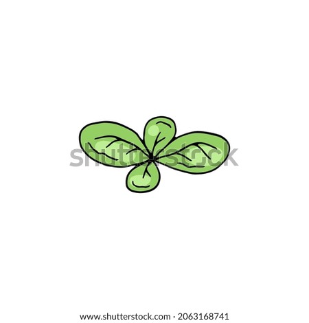 Green basil leaf in sketch vector illustration isolated on white background. Fresh healthy vegetarian food for salads and various vitamin dishes.
