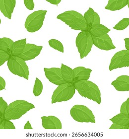 Albahaca verde deja un patrón sin fisuras. Ilustración plana de dibujos animados de Vector. Fondo con hierba fragante fresca.