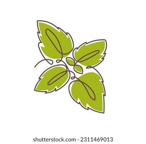 Green basil one continuous line drawing art. Vector illustration isolated on white background