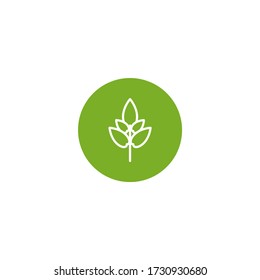 Green basil twig, shoot, sprig in green circle. Icon Isolated on white. Logo for eco company, agriculture, nature firm, ecology, healthy organic and farm fresh food. Vector Illustration. kitchen herbs