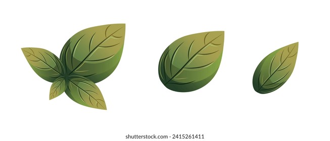 Green basil vector illustration. Cute green basil leaves plant Italian herbs cartoon vector illustration for graphic design and decorative element. Isolated on white background.