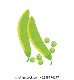 green bean design over white