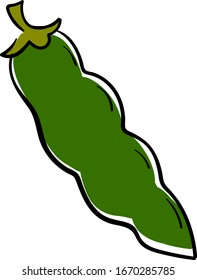 Judía verde, ilustración, vector sobre fondo blanco.